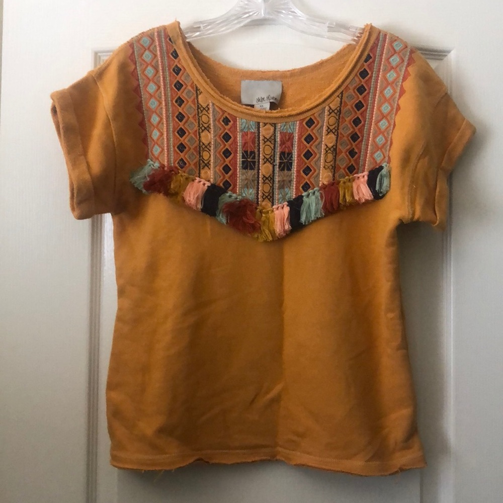 Anthropologie top with embroidery and tassels